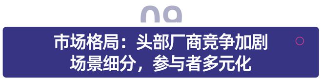 易倍体育网站：多鲸行研2024中国教育智能硬件行业发展趋势报告(图44)