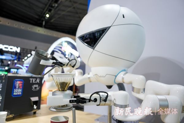 易倍体育网站：2024世界人工智能大会｜具身智能+人形机器人通用人工未来已来(图3)