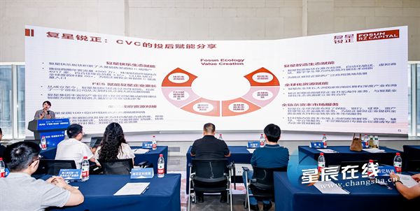 易倍体育网站:长沙市2024年“产业链+资金链”人工智能·数据服务专场产融对接会启动