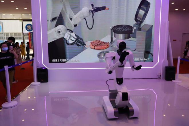 Emc易倍体育：2024世界机器人大会：泡沫、热潮、现实与未来｜甲子光年(图11)