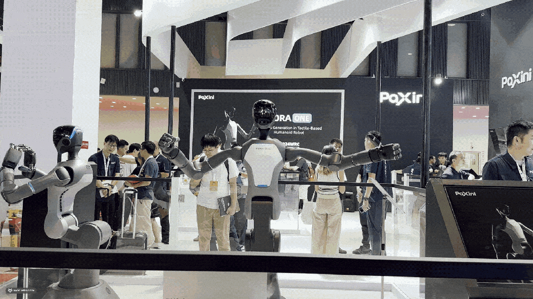 Emc易倍体育：2024世界机器人大会：泡沫、热潮、现实与未来｜甲子光年(图7)