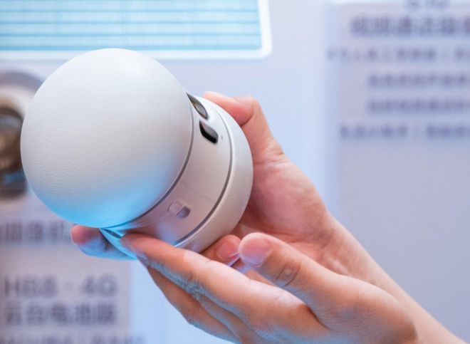 易倍体育网站：AI大模型硬件助力萤石网络业绩飙升顺便跨界开辟宠物看护市场(图2)