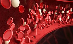 Emc易倍体育：智能硬件扎堆接入AI大模型2023智能硬件市场现状及前景分析(图2)