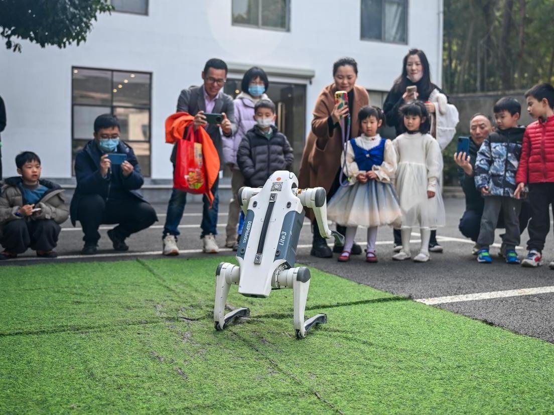 代表委员和相关人士热议人形机器人一夜爆火:具身智能来袭何以乘势而上