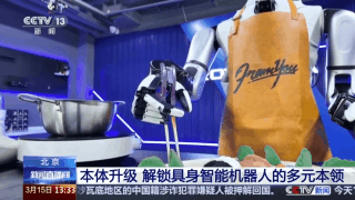 “大小脑”协同解锁具身智能机器人的多元本领(图4)
