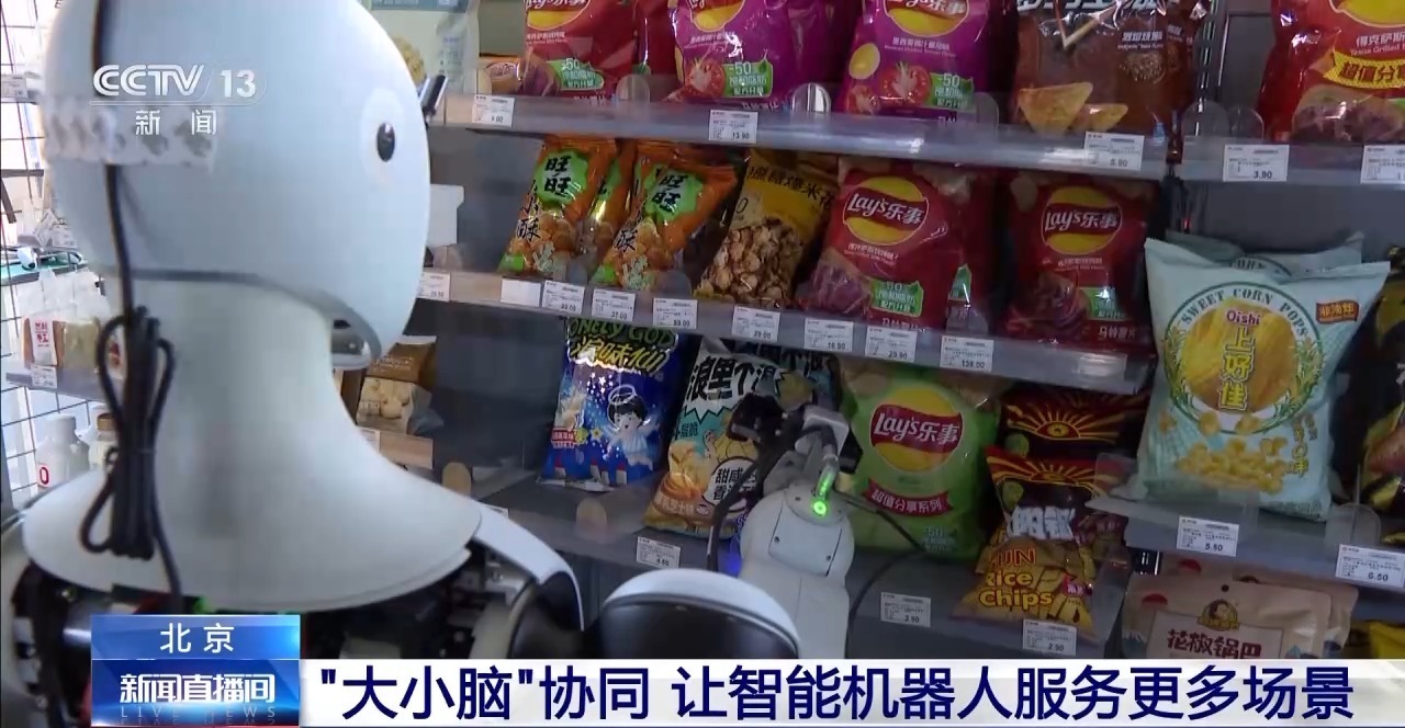 “大小脑”协同解锁具身智能机器人的多元本领(图7)
