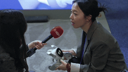 半壁江山尽染中国红！2025CES展会中国企业引领新风尚！(图29)