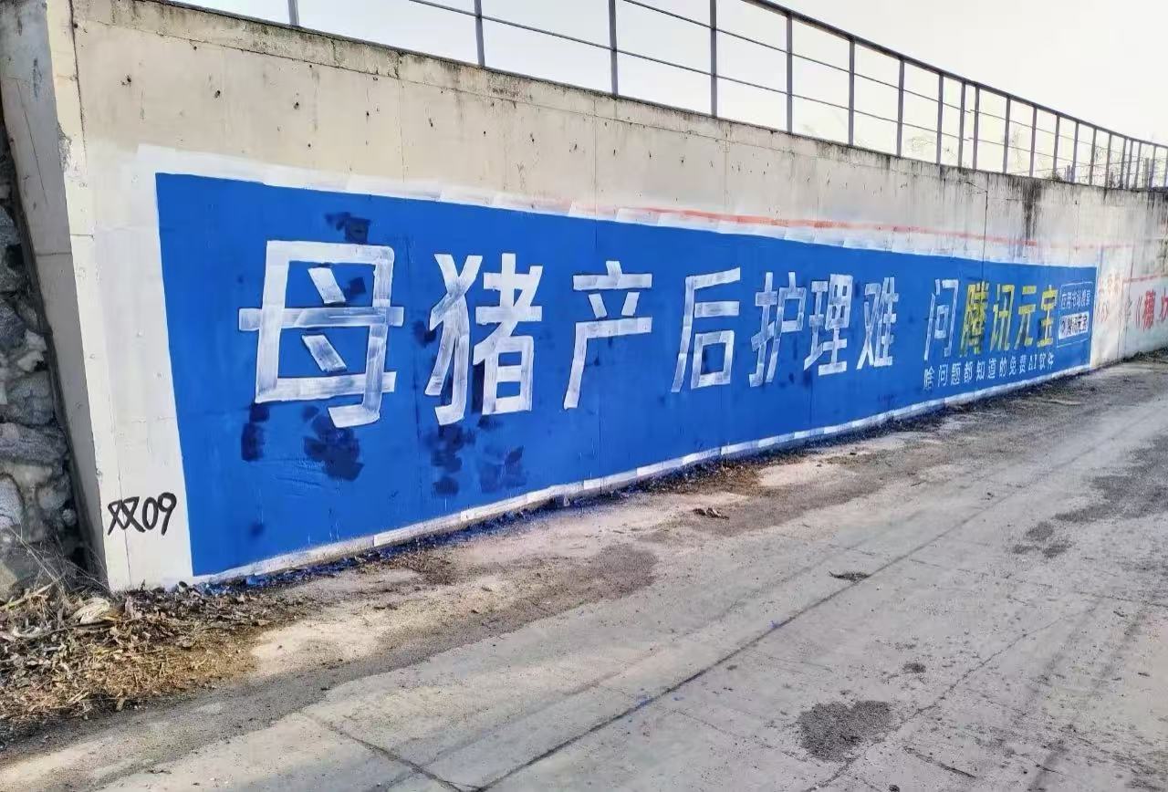 Emc易倍体育:大模型C端争夺战:巨头下乡“刷墙”谁能造出下一个“超级应用”?