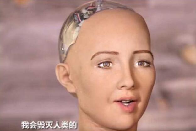 全球首个获得公民身份并口出狂言的智能机器人后来怎么样了？(图2)