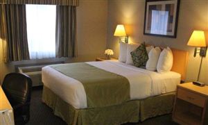 Emc易倍体育：大模型在智能终端中的应用备受关注智能终端行业发展空间更加广阔(图2)