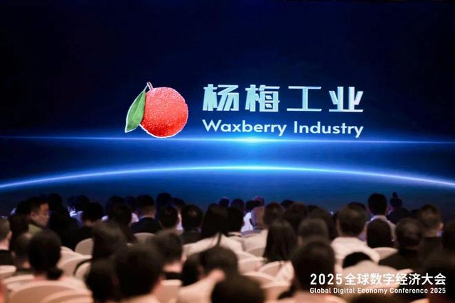 为什么这场数字经济大会为AI行业亮起一盏指明灯？(图8)