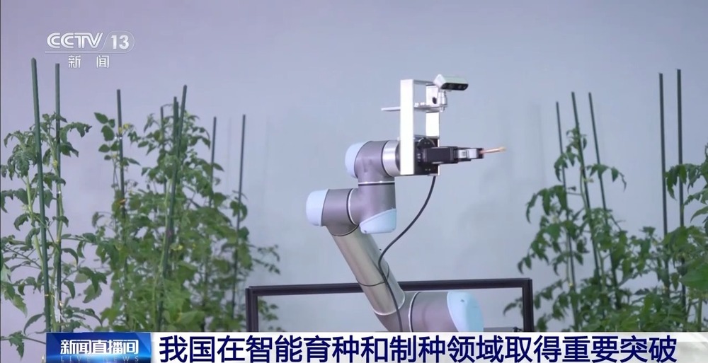 Emc易倍体育：我国研制出世界首台智能育种机器人“吉儿”取得重要突破(图3)