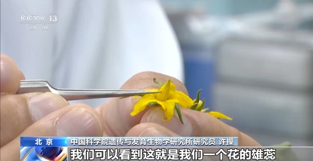 Emc易倍体育：我国研制出世界首台智能育种机器人“吉儿”取得重要突破