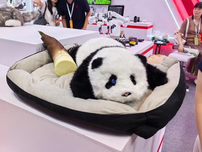 实探2024世界机器人大会：人形机器人各显身手(图10)