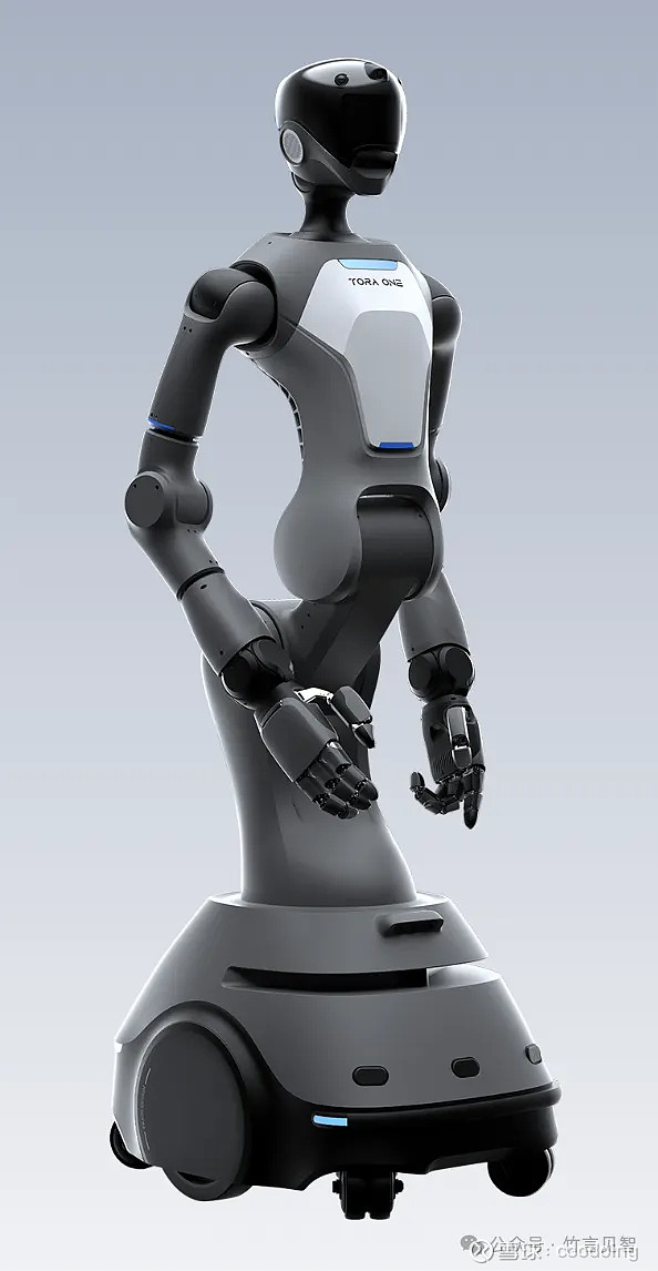 2024国产人形机器人一览2(图5)