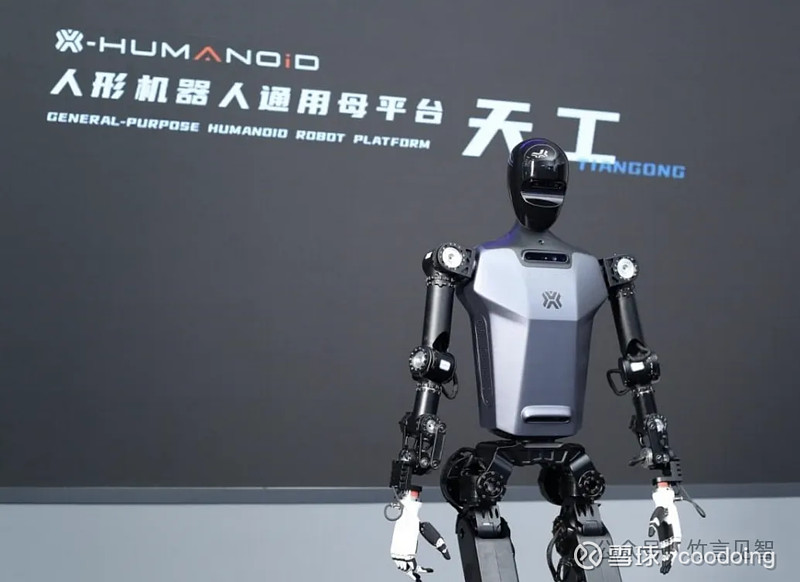 2024国产人形机器人一览2(图8)