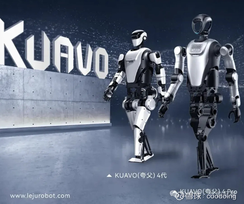 2024国产人形机器人一览2(图9)