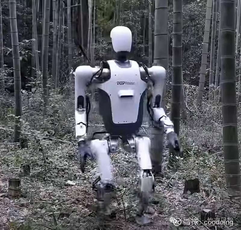 2024国产人形机器人一览2(图10)