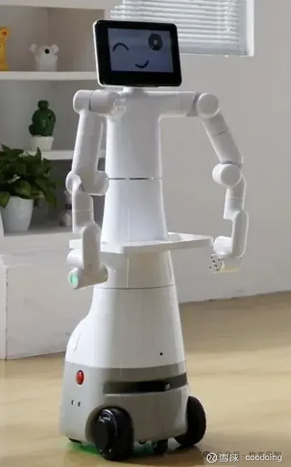 2024国产人形机器人一览2(图12)