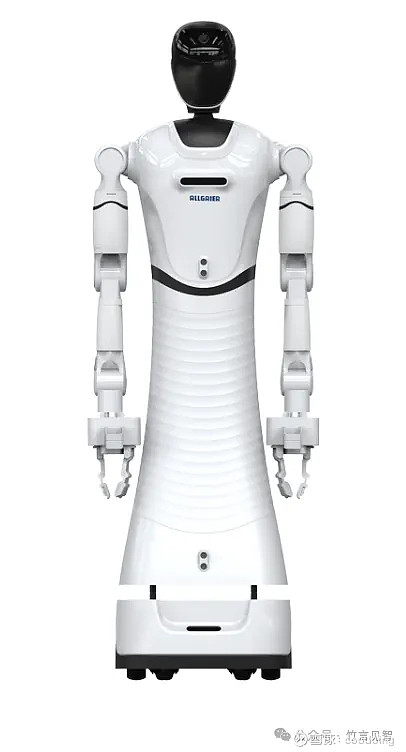 2024国产人形机器人一览2(图13)