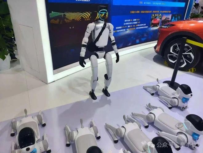 易倍体育网站：一文看尽35万人围观的智博会(图11)