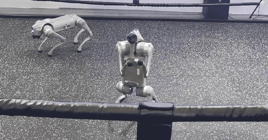 易倍体育网站：一文看尽35万人围观的智博会(图26)