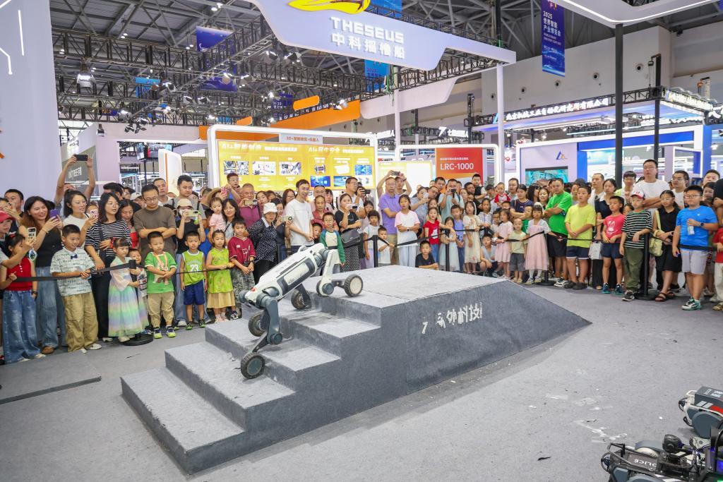 人性化、国际化、普惠化：智博会上的中国“智能新趋势”(图2)