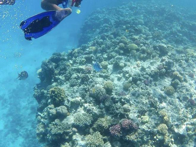 Emc易倍体育：深圳新晋独角兽小步快跑飞速进化(图5)