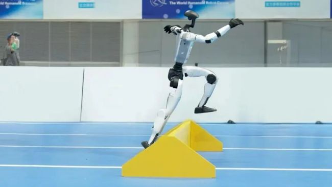 揭秘中美机器人谁离具身智能更近？(图12)
