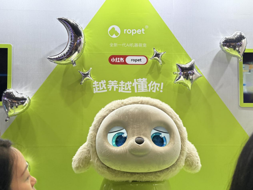 Emc易倍体育：【实探】火了！AI陪伴机器人成为这场科技展“最靓的崽”！雷军、俞敏洪、朱啸虎等投资人已出手！(图2)