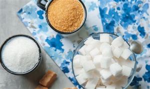 智能机器人行业报告2024：智能机器人产品侧落地分析(图3)