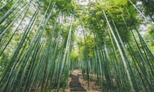 2024年智能硬件行业发展现状及重点企业经营情况(图4)