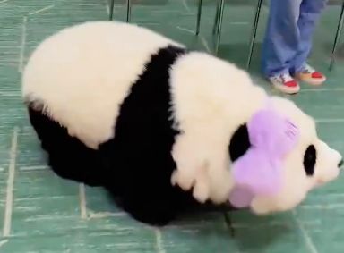 暴涨20700%！2026年第一个爆发的行业出现了