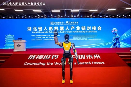 2025年武汉市人工智能十大创新产品揭晓！(图11)