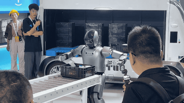 人形机器人热潮与冷思考｜实探2024世界机器人大会(图2)