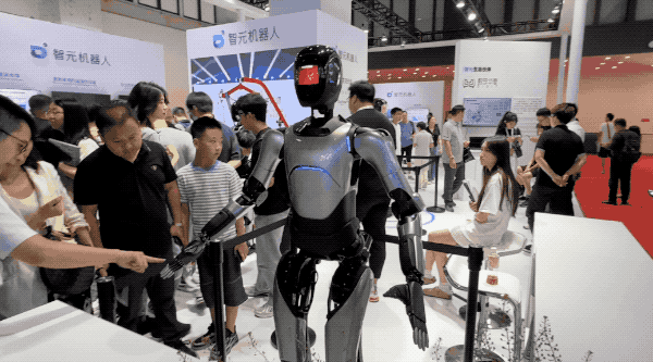 人形机器人热潮与冷思考｜实探2024世界机器人大会(图3)