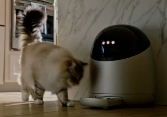 Emc易倍体育:硬迹特辑2025年消费类AI硬件事件年度回顾(图24)