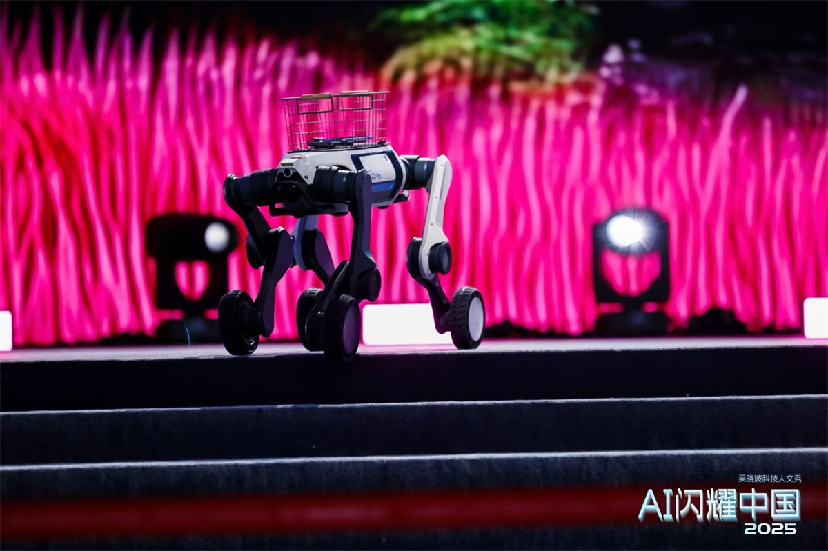 易倍体育网站：云深处科技亮相吴晓波AI跨年演讲机器人闪耀“具身智能”高光时刻(图2)