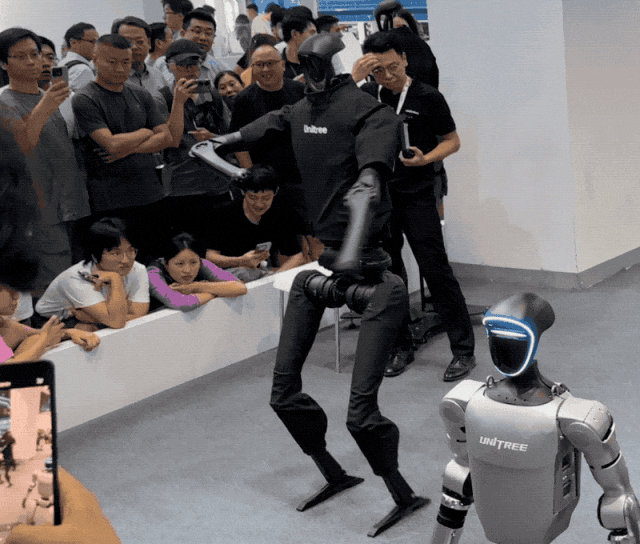 人形机器人热潮与冷思考|实探2024世界机器人大会(图5)